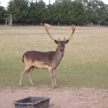 Ridder Marienmünster