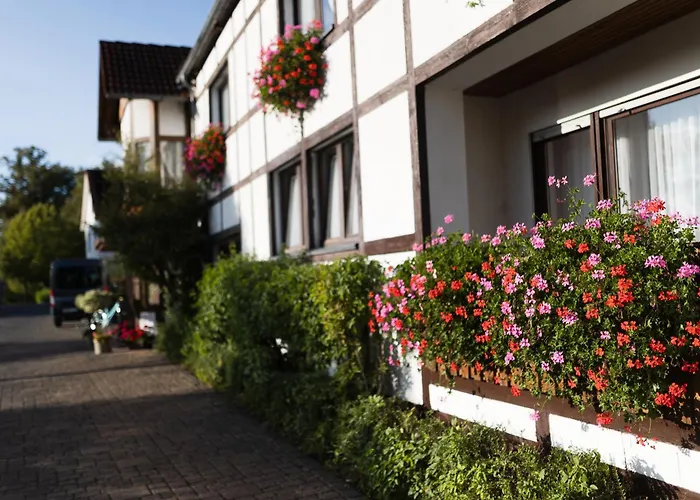 Ridder בית הארחה Marienmünster