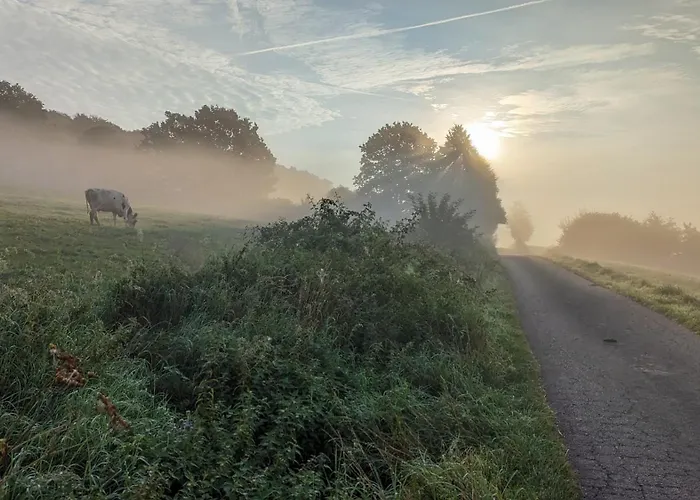 Ridder Marienmünster
