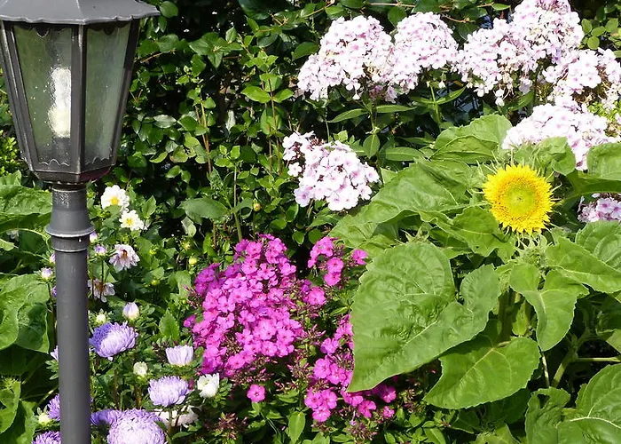 Ridder Marienmünster