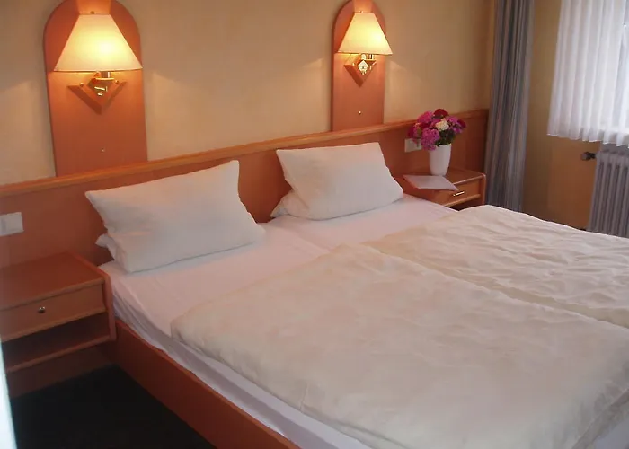 בית הארחה Ridder