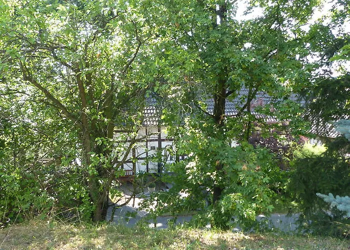 Ridder Marienmünster