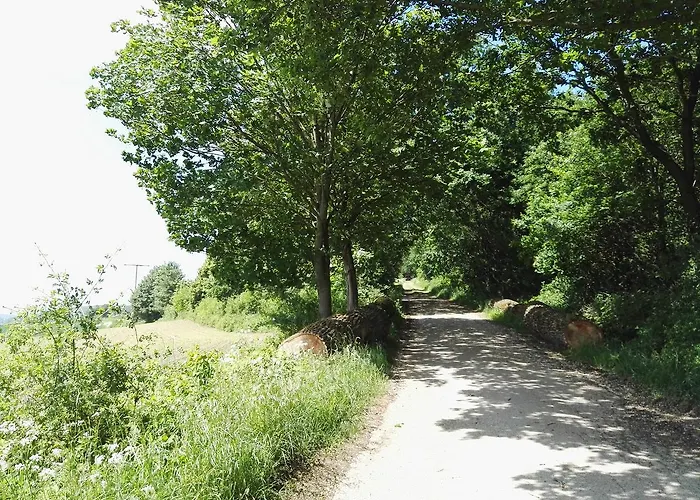 Ridder בית הארחה 3*